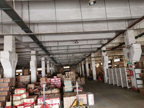 深圳市工廠樓板承重檢測與規(guī)范報告技術(shù)服務(wù)